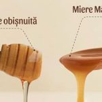 adevarul despre mierea de manuka